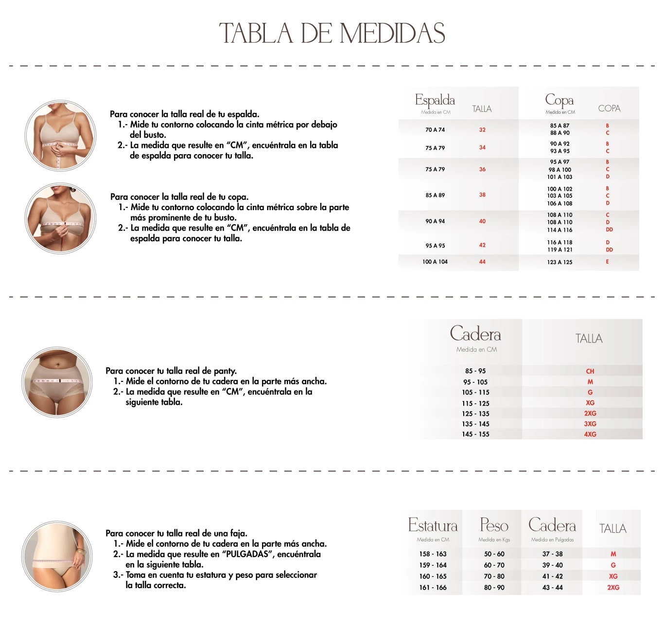 Tabla de Medidas